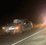 На Орловщине снова произошло ДТП с животным - OrelGrad.Ru