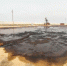 ООО «Комсомольскнефть» возместило более 113 млн рублей за ущерб почвам, нанесенный в Республике Калмыкия - Росприроднадзор