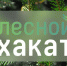 Студенты НГТУ приглашаются на всероссийский конкурс проектов в сфере цифровизации лесного комплекса - НГТУ