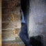 - - V-Kurse.Ru