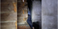 - - V-Kurse.Ru