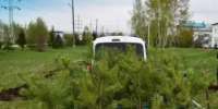 Уважаемые давлекановцы! - Давлекановский район