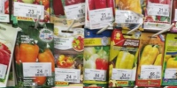 В ижевском магазине «Дом и Дача» нашли семена, не допущенные к продаже  - Сусанин
