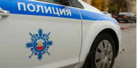 В Александрове женщина избила полицейского, защищая знакомого - Владимирские Ведомости