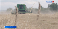 Костромские аграрии завершают уборку урожая - ГТРК Кострома