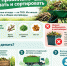 Компост, мульча и ветки: как превратить садовый «мусор» в ресурс, рассказали псковичам - Pln-Pskov.Ru