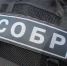 При силовой поддержке карельского СОБР «Карху» задержан подозреваемый в применении насилия в отношении представителя власти - Росгвардия