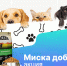 Акция «Миска добра» - Город Волгореченск