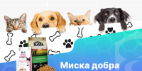 Акция «Миска добра» - Город Волгореченск