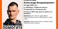 В островской деревне Заборовье пропал 34-летний мужчина в черном - Pln-Pskov.Ru