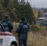 Медведи чаще выходят к людям в Сибири из-за пожаров и нехватки корма - ProDzer.Ru