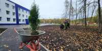 Картинка - Regions.Ru