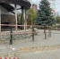 В челябинском зоопарке уберут решётки между посетителями и хищными кошками - Pchela.News