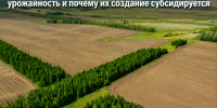С этого года Министерство сельского хозяйства и продовольствия предоставляет субсидию в 90% на создание проектно-сметной документации для лесополос. - Министерство сельского хозяйства