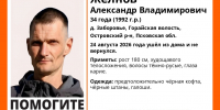 Фото: поисковый отряд «ЛизаАлерт» в соцсети «ВКонтакте» - InformPskov.Ru