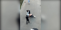 В Александрове женщина пыталась защитить знакомого, избив полицейского - Progorod33.Ru