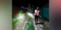За неделю в Воронежской области нашли живыми 17 пропавших людей - РИА Воронеж