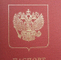 Детей больше не будут вписывать в загранпаспорта родителей - НИА Самара