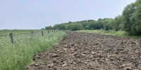 Более 1 000 гектаров особо ценных земель вернули в оборот в Амурской области - Asn24.Ru