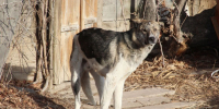 КаспийИнфо. Новости Астрахани и региона - KaspyInfo.Ru
