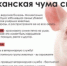 МЕРЫ ПО ПРОФИЛАКТИКЕ РАСПРОСТРАНЕНИЯ  АФРИКАНСКОЙ ЧУМЫ СВИНЕЙ - Администрация г. Лесной