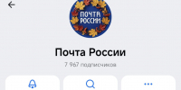 Почта России подвела первые итоги работы в МАКС: сервисом пользуются 19 00 человек - Брянский ворчун