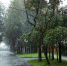 Фото: ПАИ - InformPskov.Ru