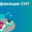 Реализация программы социальной догазификации садовых товариществ продолжается в Ростовской области - Веселовский район