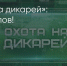 Поделитья во ВКонтакте - Братская Студия Телевидения