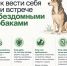 В Хасавюрте продолжается плановая работа по отлову безнадзорных собак - Администрация МО г. Хасавюрт