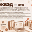 ✍️ Что такое ОКВЭД и как его выбрать перед регистрацией бизнеса? - Нанайский район