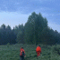 Рядом с опустевшим поселком в Даровском районе пропал человек - Prochepetsk.ru
