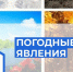 Неблагоприятные погодные условия. - Демянский район