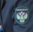 Омичка не смогла вывезти в Казахстан 25 кг конины без документов - Комсомольская Правда