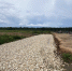 Фото: https://www.penza-gorod.ru - Penza-Post.Ru