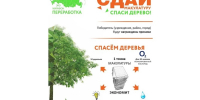 Краснодарский край присоединяется к Всероссийскому эко-марафону «Сдай макулатуру – спаси дерево» - Сетевое издание Официальный Новороссийск