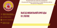 Выезд мобильной бригады в с. Полое - Соцзащита населения по Ардатовскому району