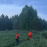 В Кильмезском районе начались поиски босого мужчины - ProGorod.Ru
