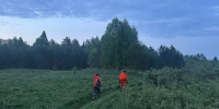 В Кильмезском районе начались поиски босого мужчины - ProGorod.Ru