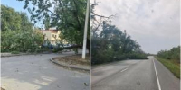 В Волгодонске и Волгодонском районе из-за сильного ветра падают деревья - DonDay-Volgodonsk.Ru
