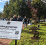 В Петербурге заложили «Аллею доноров» - Spbdnevnik.ru