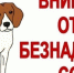 График планового отлова животных без владельцев на территории Ровенского муниципального района Саратовской области на IV квартал 2026 года - Ровенский район