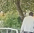 В Татарстане задержали подростка, обокравшего квартиры по указанию мошенников - Комсомольская правда Казань