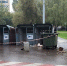 Тело новорожденной девочки найдено на северо-востоке Москвы - Комсомольская Правда