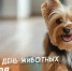акция «Миска добра» - Мантуровский муниципальный округ