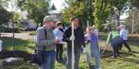 Проект «Молодёжная зелёная дружина» - Комитет по физкультуре и спорту