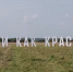 Вандалы испортили арт-объект «Смотри как красиво» под Тулой - ГТРК