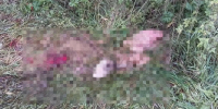 JPEG Файл - ОМВД Республики Мордовия