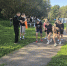 Соревнования по легкоатлетическому многоборью - Наровчатский район