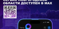 В Новгородской области запустили «Единый региональный сервис» в Мax - Министерство инвестиционной политики